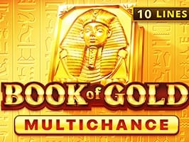 Book of Gold Multichance screenshot